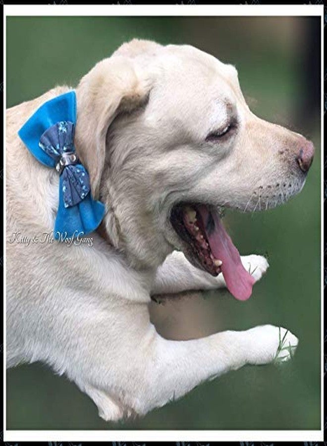 Pet Guard Blue Bow Tie Collar for Dog and Cat Adjustable (M) - Image 2
